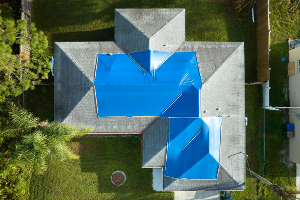 Best Asphalt Shingles Roofing  in Evadale, TX