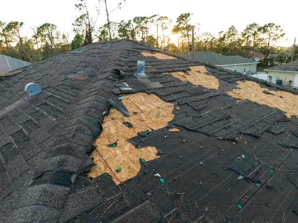  Evadale, TX Roofing Pros