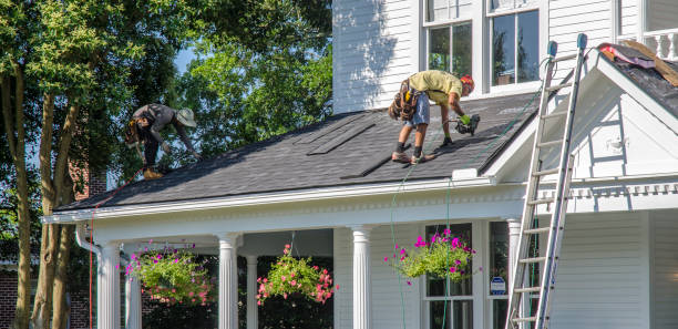 Best Roof Ventilation Installation  in Evadale, TX